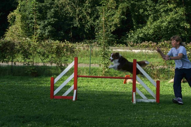 agility 2011-08